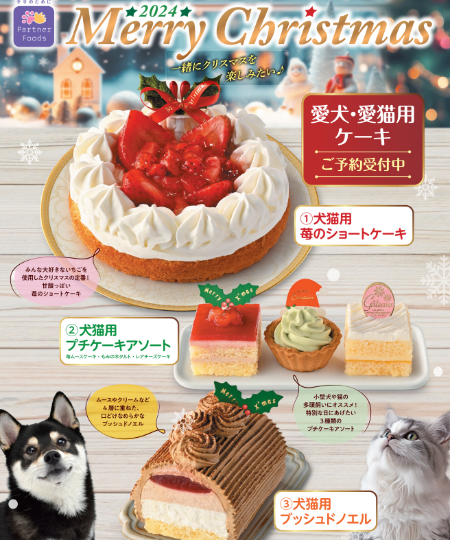 わんこのクリスマスケーキ☆